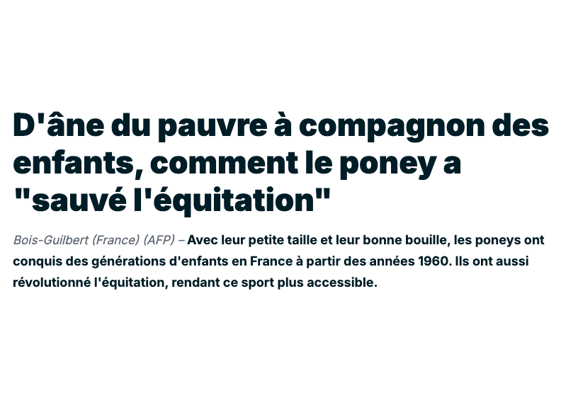 Titre article France24
